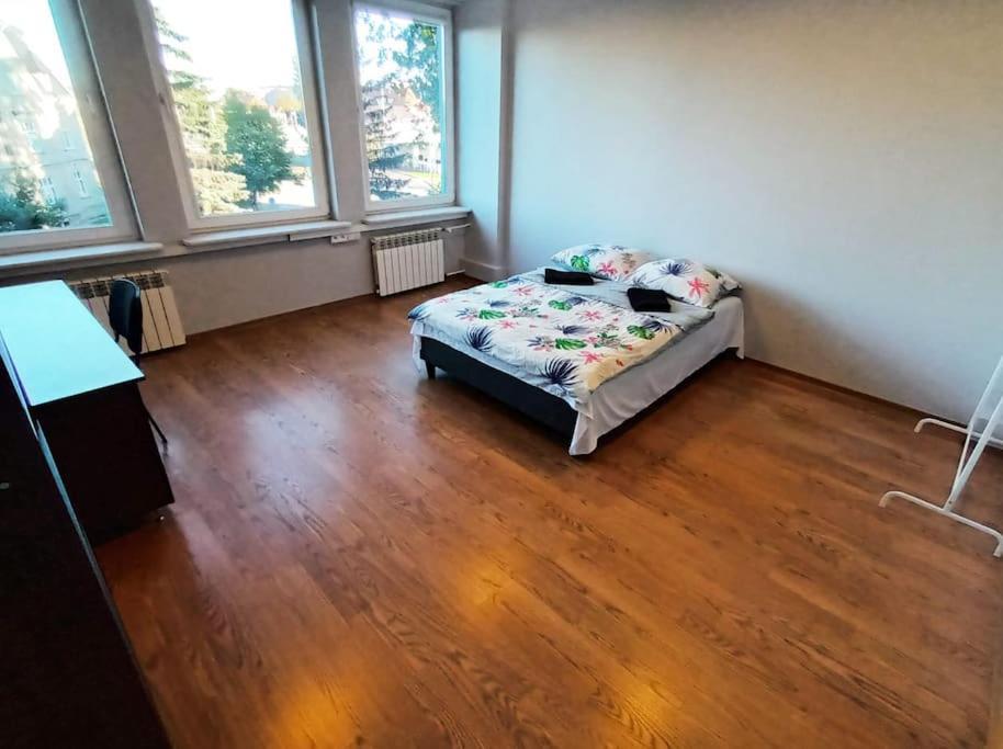 Fantastic Zg - S4 Pokoj 206 Zielona Gora  Luaran gambar
